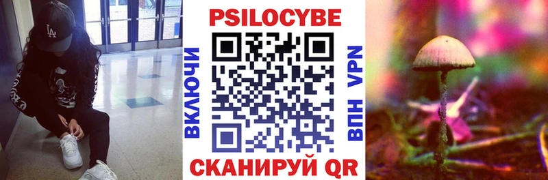 Галлюциногенные грибы прущие грибы OMG сайт Высоцк